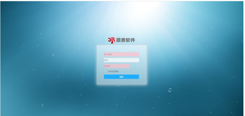 雷速网页版-雷速（中国）管理软件